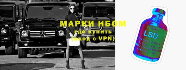 PSILOCYBIN Алзамай