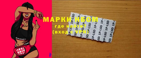 PSILOCYBIN Алзамай