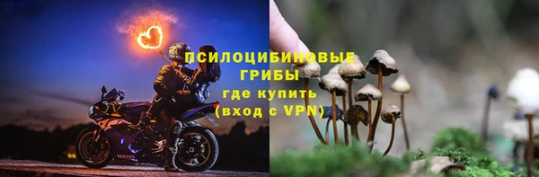 PSILOCYBIN Алзамай