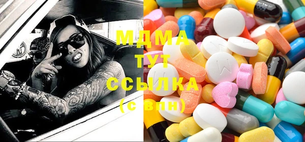 PSILOCYBIN Алзамай