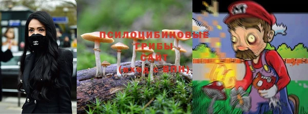 PSILOCYBIN Алзамай