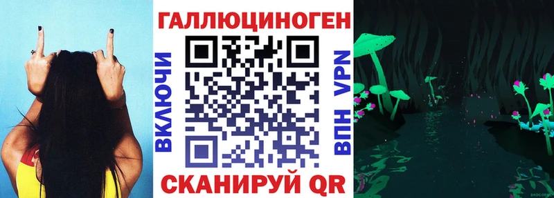 Галлюциногенные грибы Psilocybe  Владивосток 